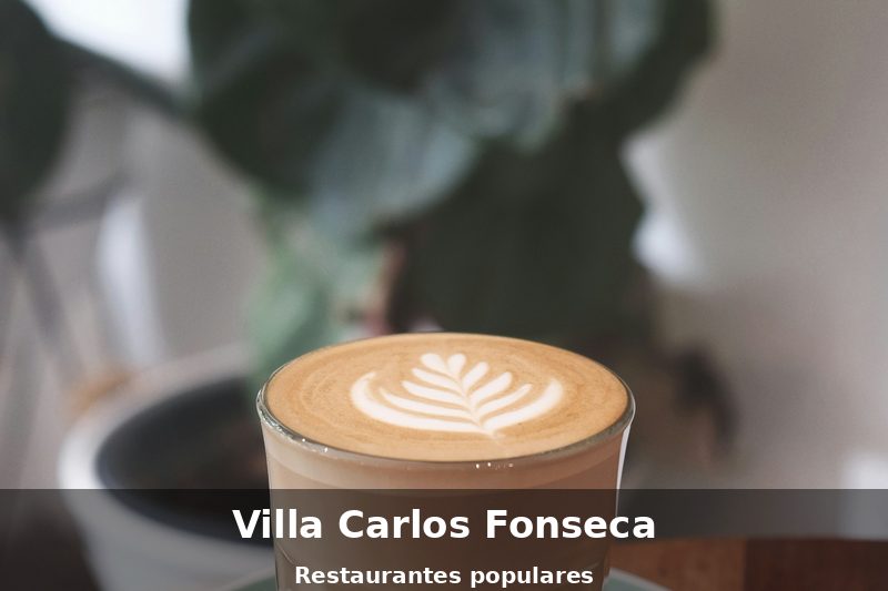 Restaurante en Villa Carlos Fonseca